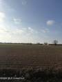  Cypress Avenue - Photo 5