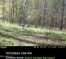 2 Forest Service Road 562 - Photo 10