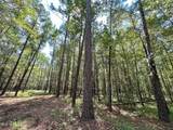 2 Forest Service Road 562 - Photo 15