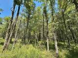 2 Forest Service Road 562 - Photo 16
