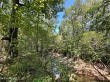 2 Forest Service Road 562 - Photo 17
