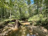 2 Forest Service Road 562 - Photo 19