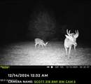 2 Forest Service Road 562 - Photo 2