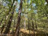 2 Forest Service Road 562 - Photo 20