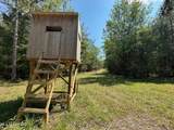 2 Forest Service Road 562 - Photo 29