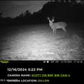 2 Forest Service Road 562 - Photo 4