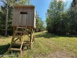 5 Forest Service Road 562 - Photo 11