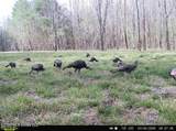 5 Forest Service Road 562 - Photo 19