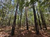 6 Forest Service Road 562 - Photo 12