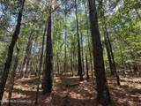 6 Forest Service Road 562 - Photo 13