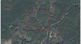 6 Forest Service Road 562 - Photo 16
