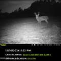 6 Forest Service Road 562 - Photo 2