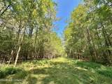 6 Forest Service Road 562 - Photo 5