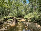 6 Forest Service Road 562 - Photo 9