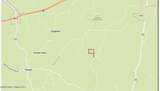 7 Forest Service Road 562 - Photo 23