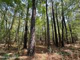 7 Forest Service Road 562 - Photo 4