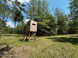 8 Forest Service Road 562 - Photo 17