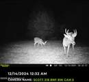 8 Forest Service Road 562 - Photo 2