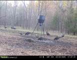 8 Forest Service Road 562 - Photo 25