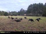 8 Forest Service Road 562 - Photo 26