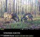 8 Forest Service Road 562 - Photo 3