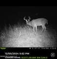 8 Forest Service Road 562 - Photo 4