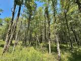 8 Forest Service Road 562 - Photo 9