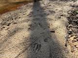  Railroad Lane - Photo 37