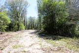 1.7 Acres Oakhaven Drive - Photo 1