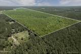  293 Acres Scruggs Road - Photo 1