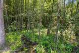  293 Acres Scruggs Road - Photo 10
