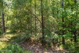  293 Acres Scruggs Road - Photo 14