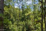  293 Acres Scruggs Road - Photo 15