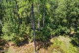  293 Acres Scruggs Road - Photo 16