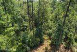  293 Acres Scruggs Road - Photo 17