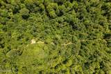  293 Acres Scruggs Road - Photo 18