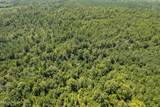  293 Acres Scruggs Road - Photo 19