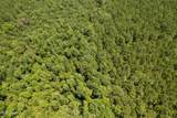  293 Acres Scruggs Road - Photo 21