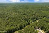 293 Acres Scruggs Road - Photo 23
