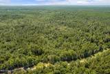  293 Acres Scruggs Road - Photo 24