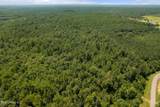  293 Acres Scruggs Road - Photo 27