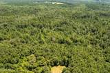  293 Acres Scruggs Road - Photo 29