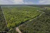  293 Acres Scruggs Road - Photo 3