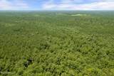  293 Acres Scruggs Road - Photo 31