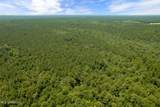  293 Acres Scruggs Road - Photo 32
