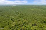  293 Acres Scruggs Road - Photo 33