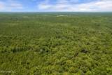  293 Acres Scruggs Road - Photo 34