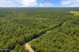  293 Acres Scruggs Road - Photo 4