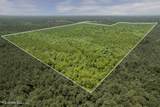  293 Acres Scruggs Road - Photo 5