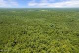  293 Acres Scruggs Road - Photo 6